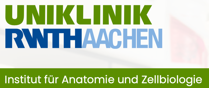 Institut für Anatomie